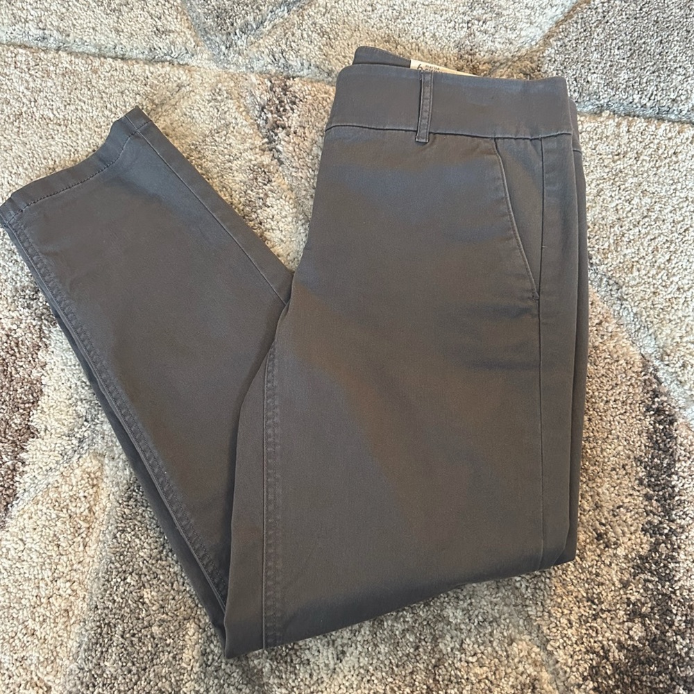 AT Loft Marisa Skinny Ankle Pants